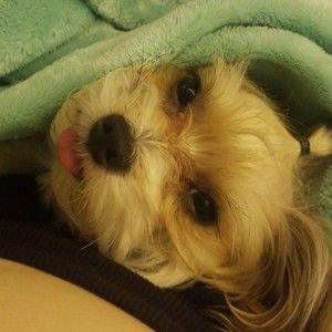 Meet your Posher, Mezmerize